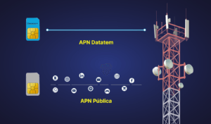 APN Privada versus APN Pública